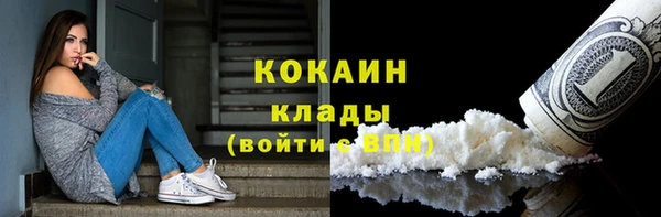 дживик Белоозёрский