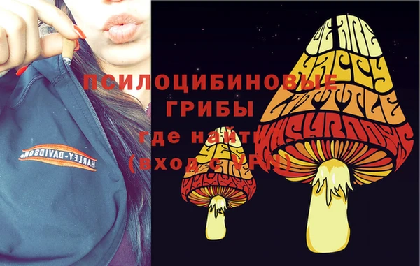 кокаин Богданович