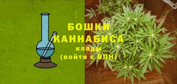 соль курить ск Белокуриха