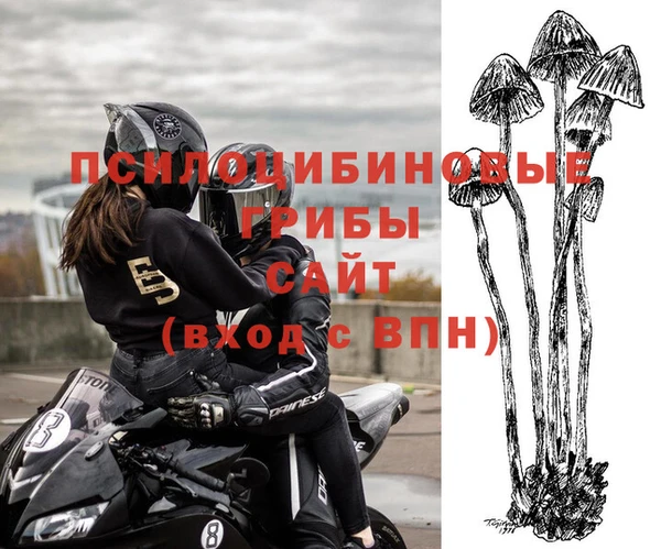 дживик Белоозёрский