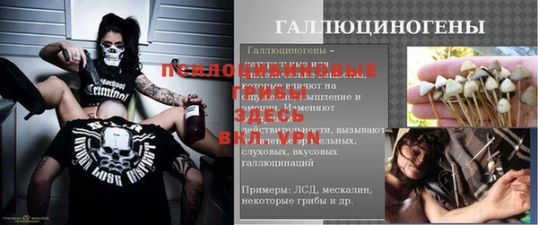 соль курить ск Белокуриха