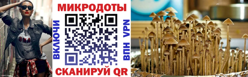 Псилоцибиновые грибы мухоморы  Кизляр 